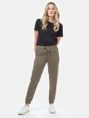 Tentree colwood jogger grey